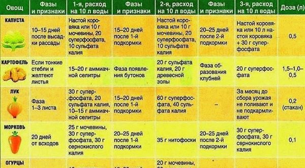 Когда и как подкормить огурцы кальциевой селитрой