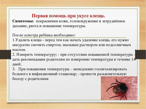 Если клещ отвалился дома? Первая помощь при укусе. Удаление насекомого и обработка раны