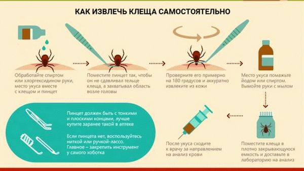 Что делать нельзя: запрещенные средства для удаления паразита