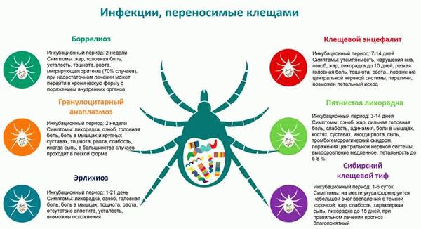 Энцефалиты, передаваемые клещами