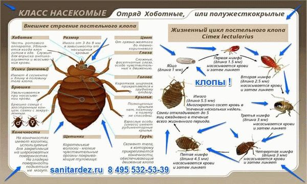 Памятка! Для столкнувшихся с этой проблемой впервые