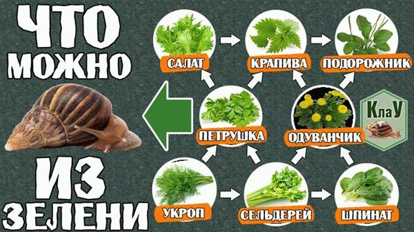 Список популярных продуктов