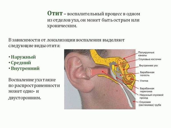 Какие клещи могут поселиться в ухе человека