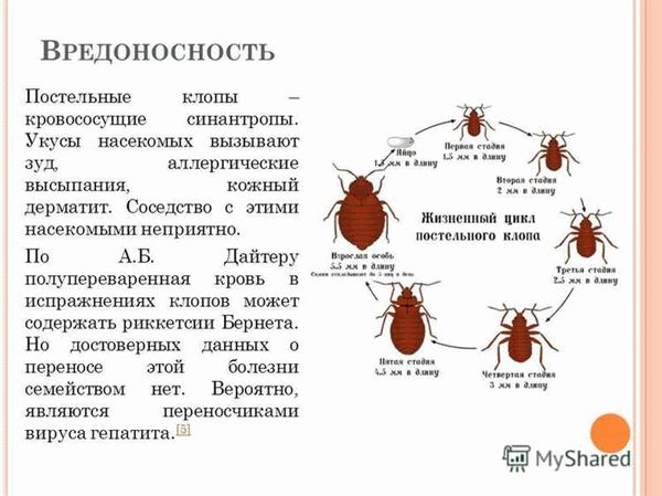 Как не допустить распространения?