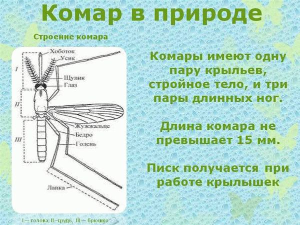 Опасен ли комар-долгоножка и чем?