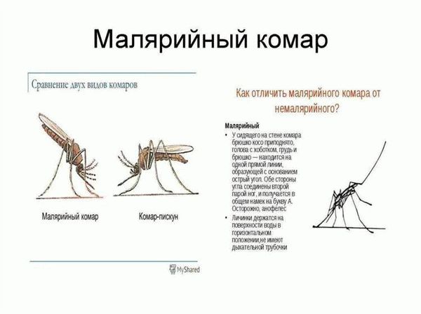 Социальная структура и размножение