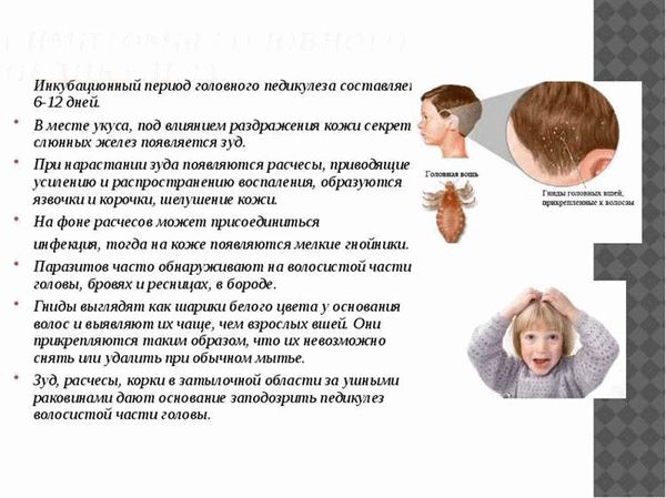 К каким докторам следует обращаться при лобковом педикулезе