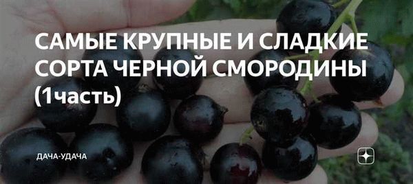 Продолжение списка названий сортов плодовых растений