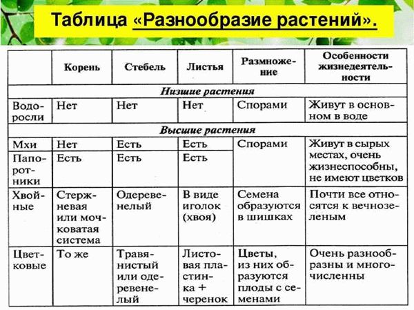 Популярные сорта плодовых деревьев для Урала