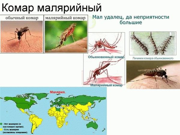 Как понять кто перед вами