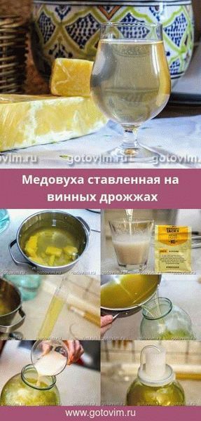 Медовуха без дрожжей (на изюме)