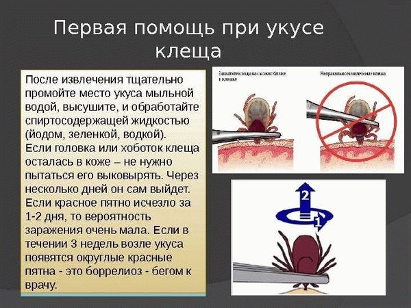 Укус мошки - особенности и характеристики