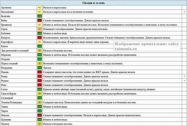 Полезные свойства йогурта для крысы