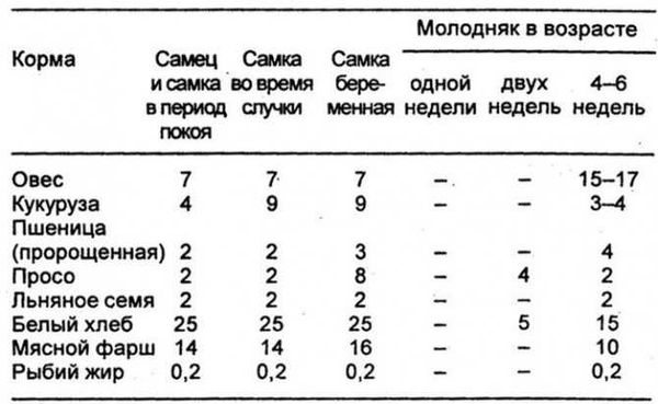 Полезно ли крысам мясо?