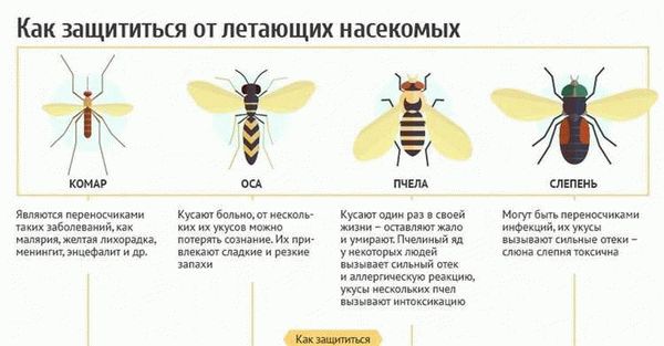 Зафиксированные случаи