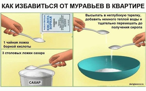 Народные средства для борьбы с муравьями