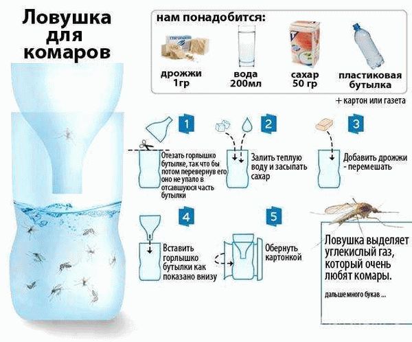 Одежда для защиты от комаров на природе