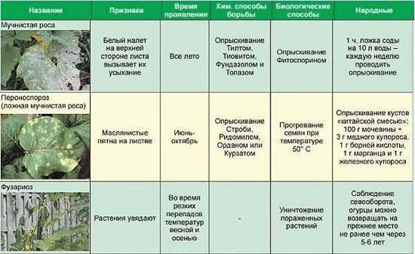 Как бороться настоями? Рецепты