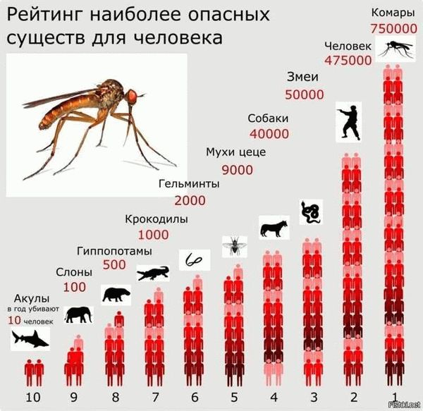 Опасность для человека