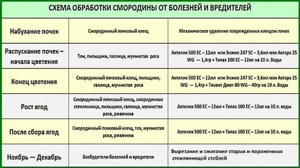 Безопасность в процессе обработки