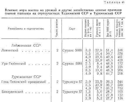 Сколько нужно картошки?