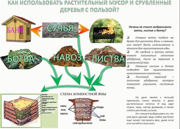 Способ применения ЭМ-препаратов