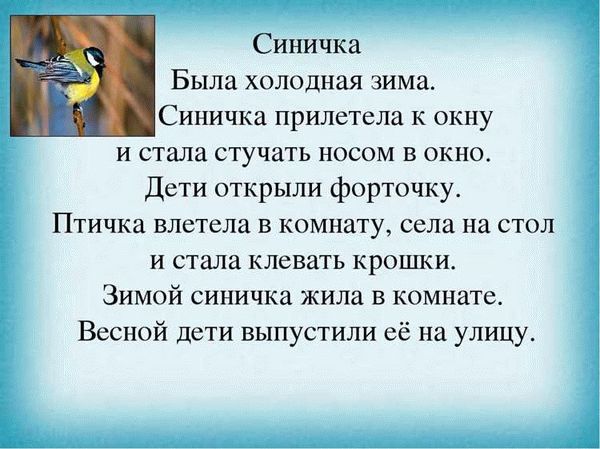 Как поступить с осой, если она залетела в дом?