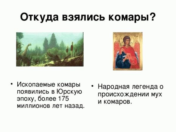 Почему у комаров есть «любимые» места?