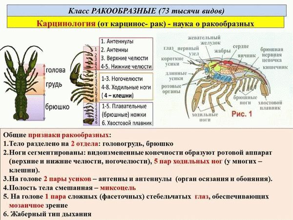 Нужно ли истреблять членистоногих