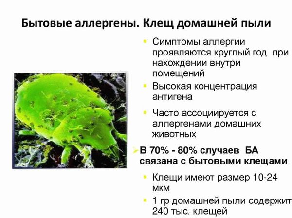 Профилактика повторного заражения жилья после обработки