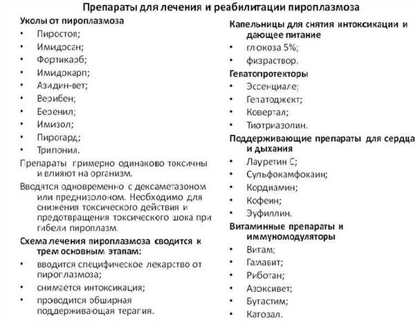 Симптомы заражения клещевым энцефалитом у собак