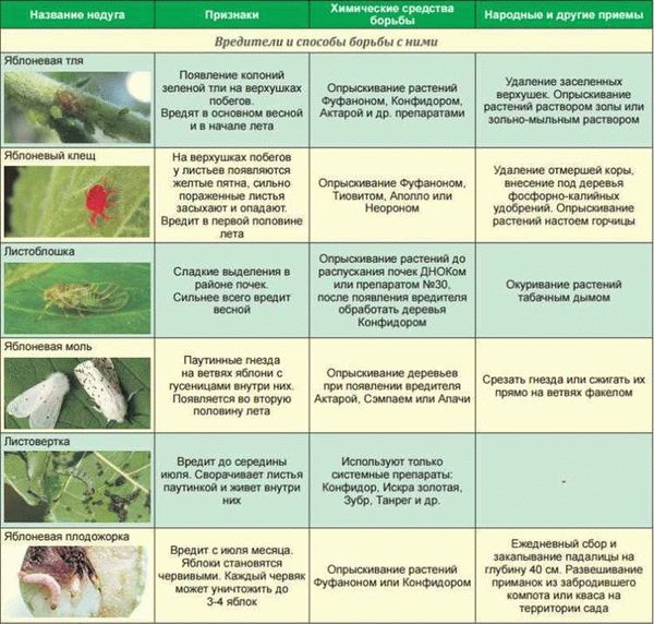 ПЛОДОЖОРКА на яблоне: ЧЕМ ОБРАБОТАТЬ (список препаратов)