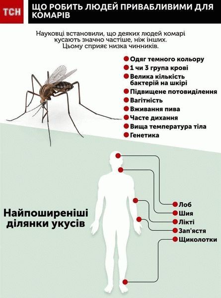 Комар любит алкоголь