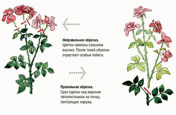 Ошибка с местом посадки