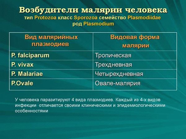 Перспективы и рекомендации по предотвращению распространения малярии