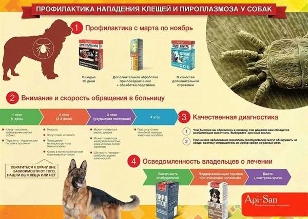 Как лечить собаку от подкожного клеща?