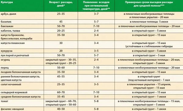 Подготовка семян и выращивание рассады