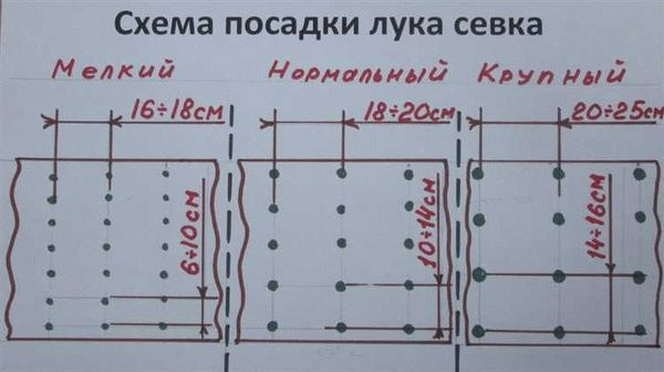 Как выбрать посадочный материал