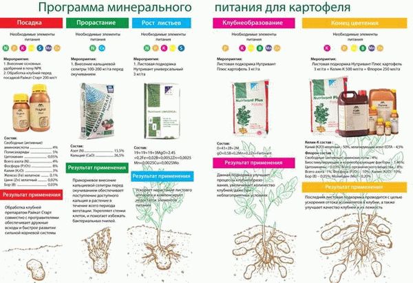 Препарат Командор для обработки картофеля перед посадкой: описание и характеристики