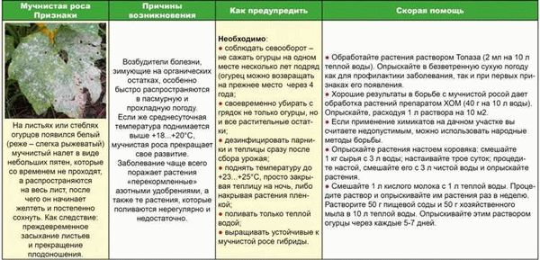 Препарат Великий воин гель от муравьев: инструкция по применению и назначение