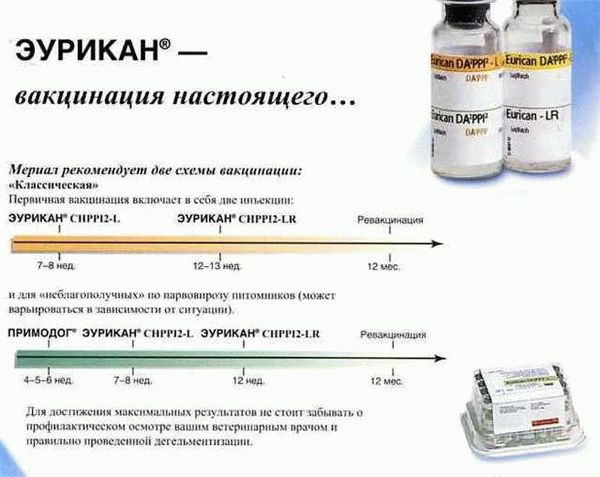 Преимущества и риски вакцинации против клещей