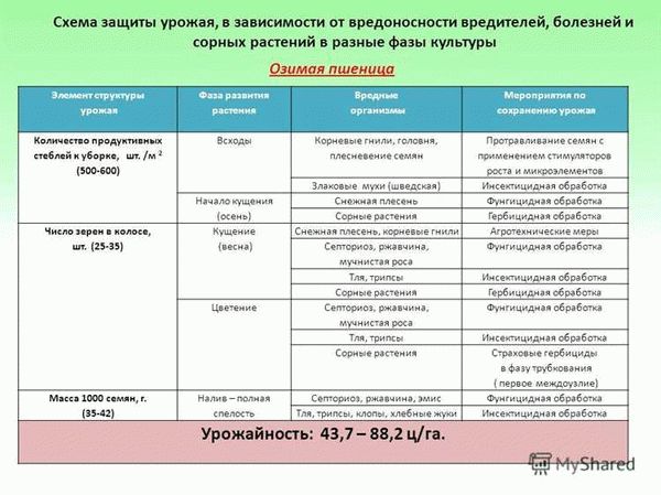 Проволочник: вредитель №1 и как с ним бороться