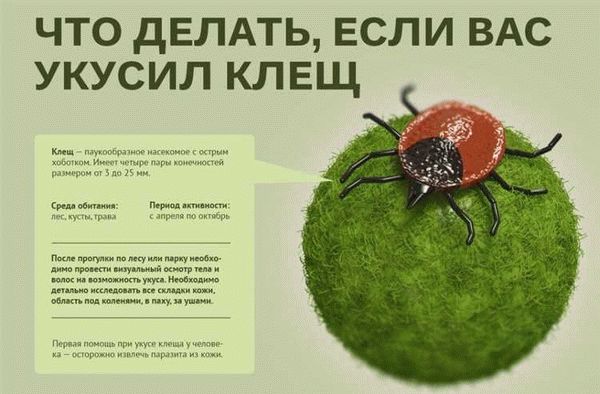 Используйте репелленты