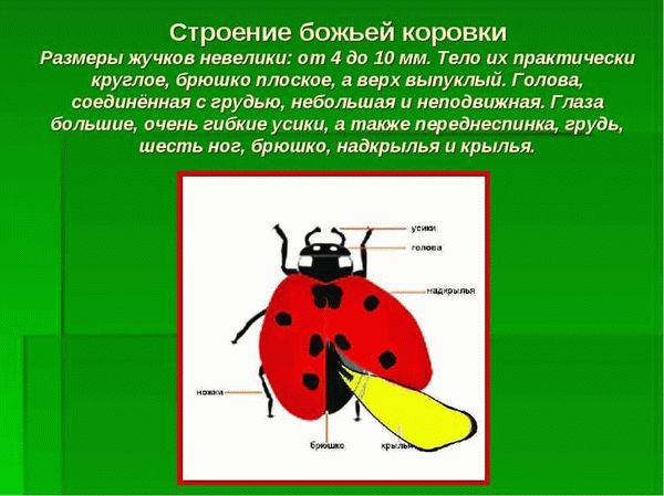 Значение с учётом времени года