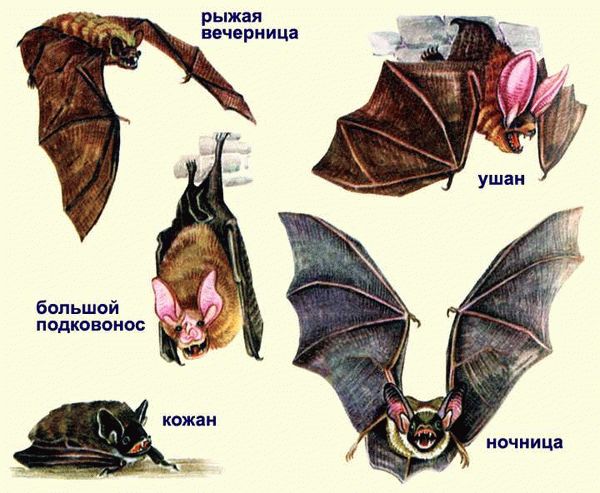 Правильный расчет