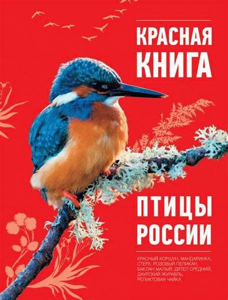 Распространение рукокрылых млекопитающих в России