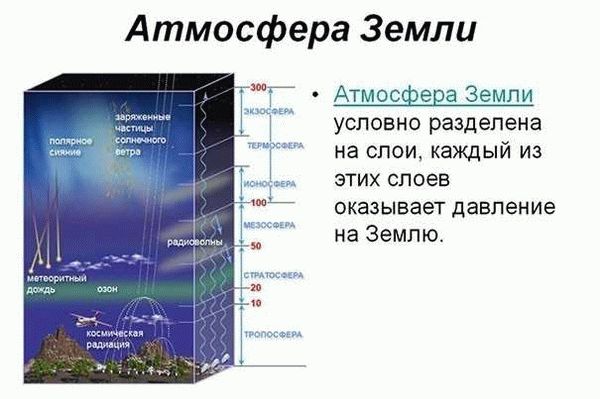 Сколько килограмм укус аллигатора?