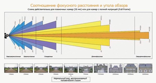 Как много кадров в секунду человек может видеть?