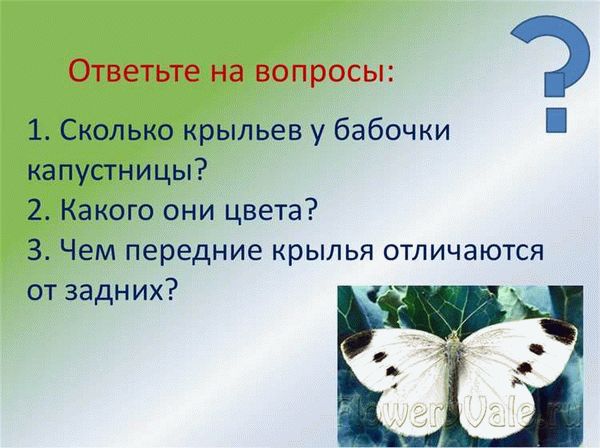 Төрле күбәләкләрнең аякларында аермалар