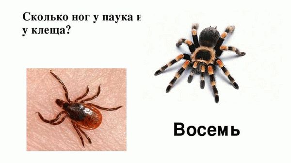 Про соседство с людьми